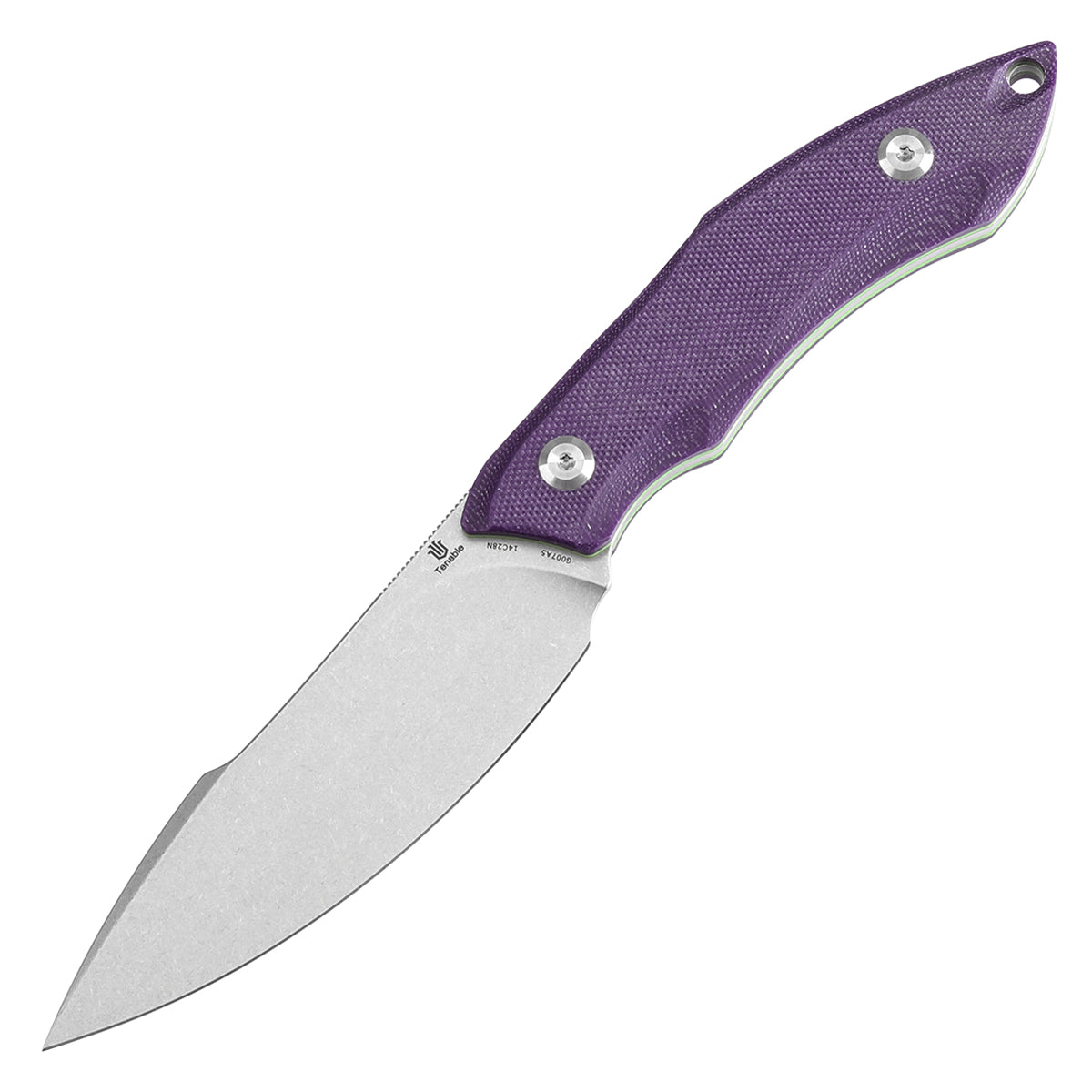 Tenable Luccio Fixed Blade Knife with Purple G10 Handle (3.81" Stonewashed 14C28N Blade) - Bolt Vision Design - G007A5